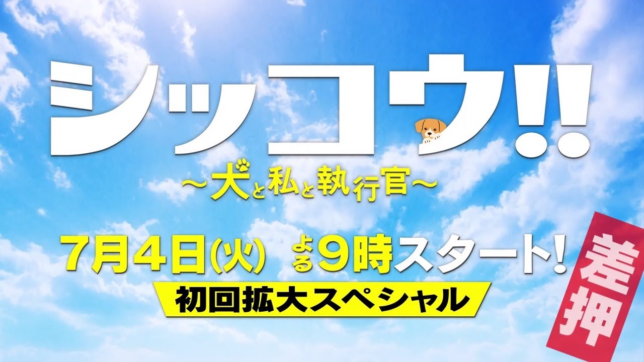 『シッコウ!!~犬と私と執行官~』2023年7月4日スタート!【毎週火曜】よる9:00~/ティザー30秒PR