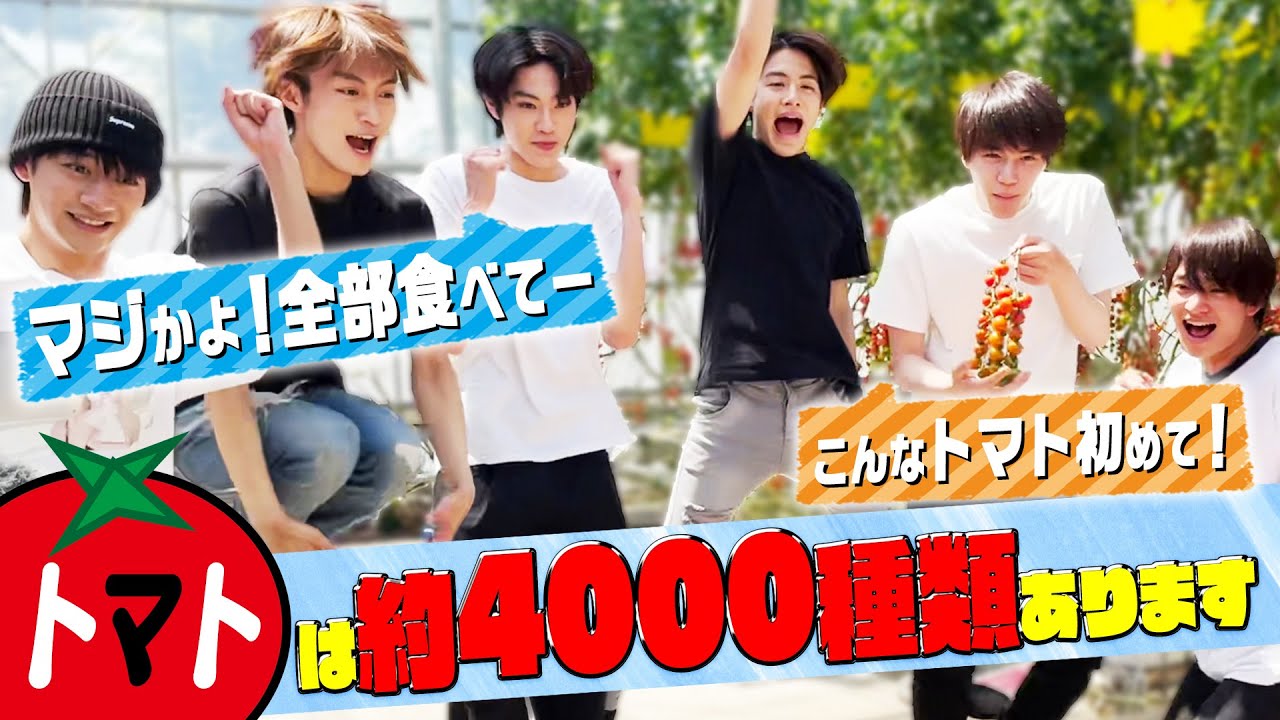 美 少年【浮所トマト克服への道】トマト農園で食べ放題!
