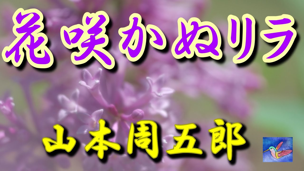 【朗読】花咲かぬリラ 山本周五郎 読み手アリア