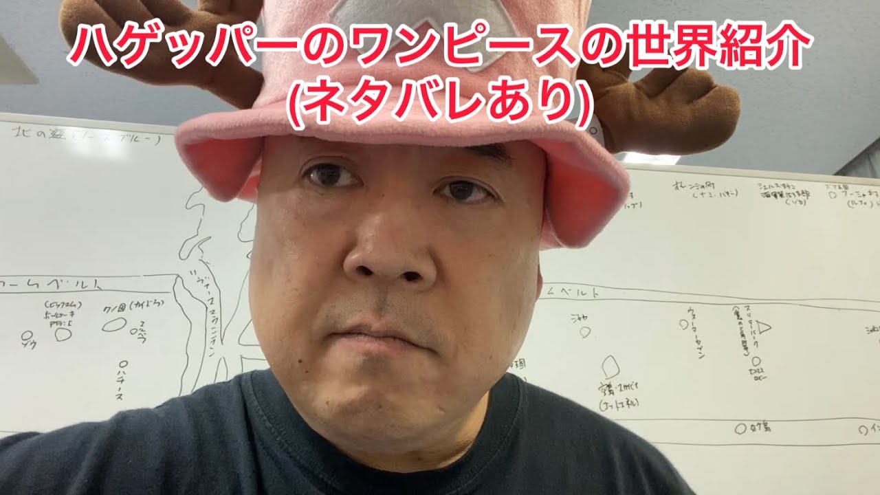 【ネタバレ注意】ワンピースの世界地図と大まかな流れをご紹介 チョッパー芸人ぴっかり高木 #onepiece #ワンピース #チョッパー #chopper #ナッパ #ぴっかり高木