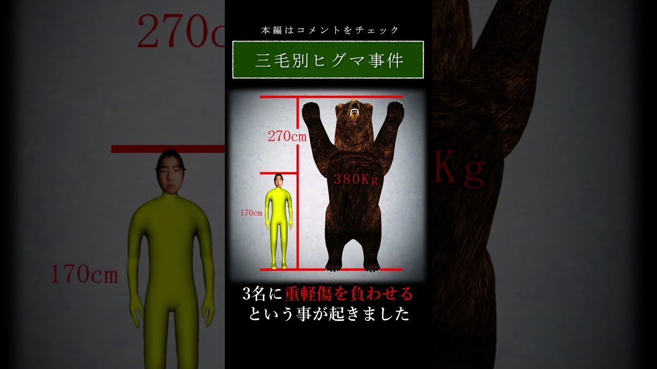熊を見つけても絶対に近寄ってはいけない理由#shorts