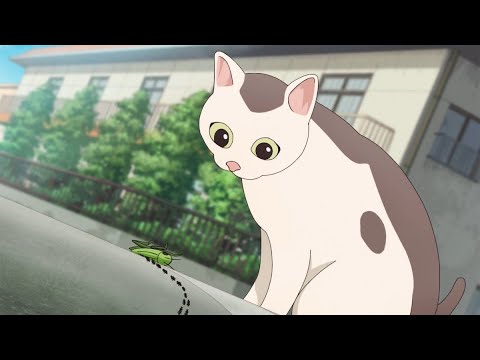 Gin (todas las apariciones)