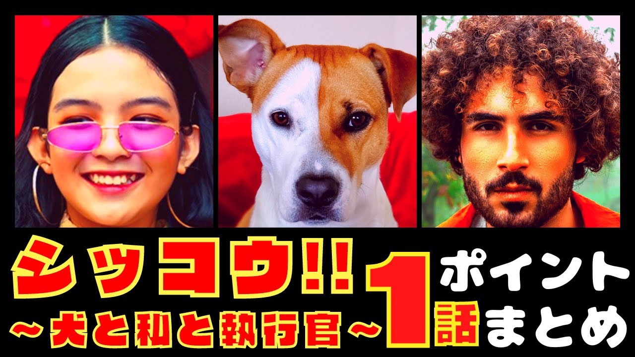 【シッコウ!!〜犬と私と執行官〜1話】新しいお仕事ドラマ開幕!!【ポイントまとめ】