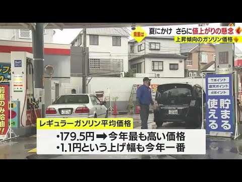 上昇続くガソリン価格 鹿児島県内 2023年の最高値に 今後は? 業界団体に聞く (23/07/05 18:35)