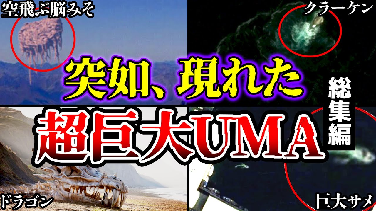 【総集編】世界が震えた…超巨大なUMA・未確認生物たちについてまとめ【ゆっくり解説】【龍・ドラゴン】【クラーケン】