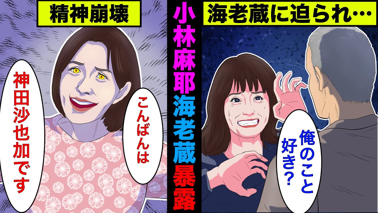【実話】小林麻耶が海老蔵のヤバい過去を暴露!内容をわかりやすくアニメで解説!【アニメ】