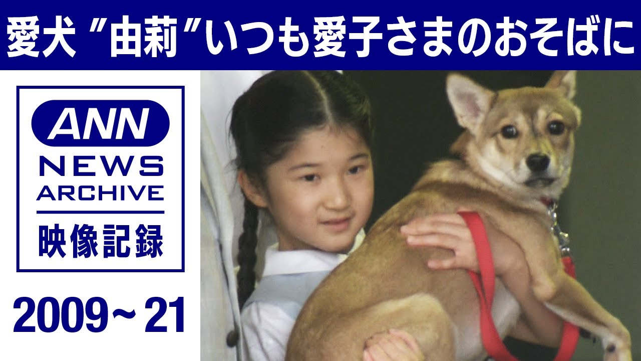 《愛子さまが命名》愛犬“由莉”いつも愛子さまのおそばに(2009~2021年)【皇室】【映像記録 news archive】