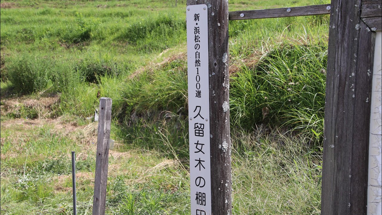 新ドローン紀行2023 静岡県浜松市北区引佐町 猛暑日🥵の中、女優「柴咲コウ」が田植えした棚田に行って来ましたよ🥵🥵😵💫