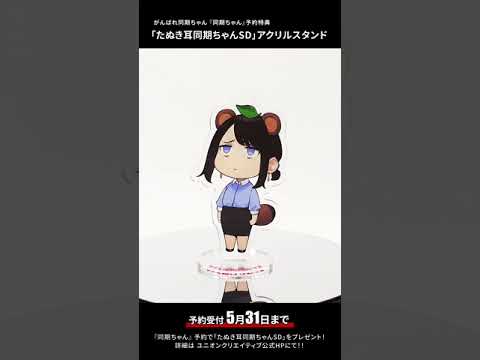 【同期ちゃん】予約特典「たぬき耳同期ちゃんSD」のアクリルスタンドが完成しました!!#Shorts【フィギュア紹介】