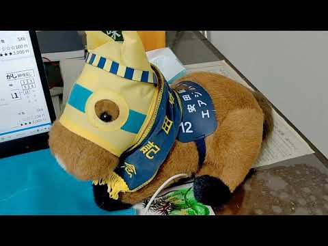 マイラーズC フローラS 福島中央テレビ杯 皐月賞 燧ケ岳特別 福島牝馬S 晩春S 春雷S 蓬莱峡特別 立雲峡S 福島民報杯 結果