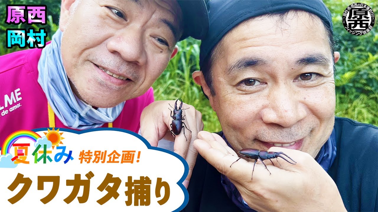 【夏休み特別企画】原西&岡村のクワガタ捕り