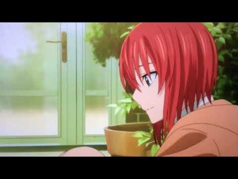 魔法使いの嫁13話『チセ、エリアスに告白⁉️』