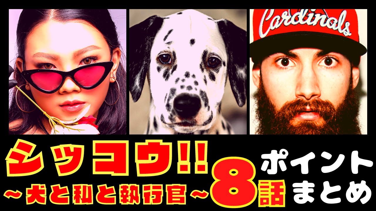 【シッコウ!!〜犬と私と執行官〜8話】借金地獄の女子大生を救え!【ポイントまとめ】【伊藤沙莉】【織田裕二】