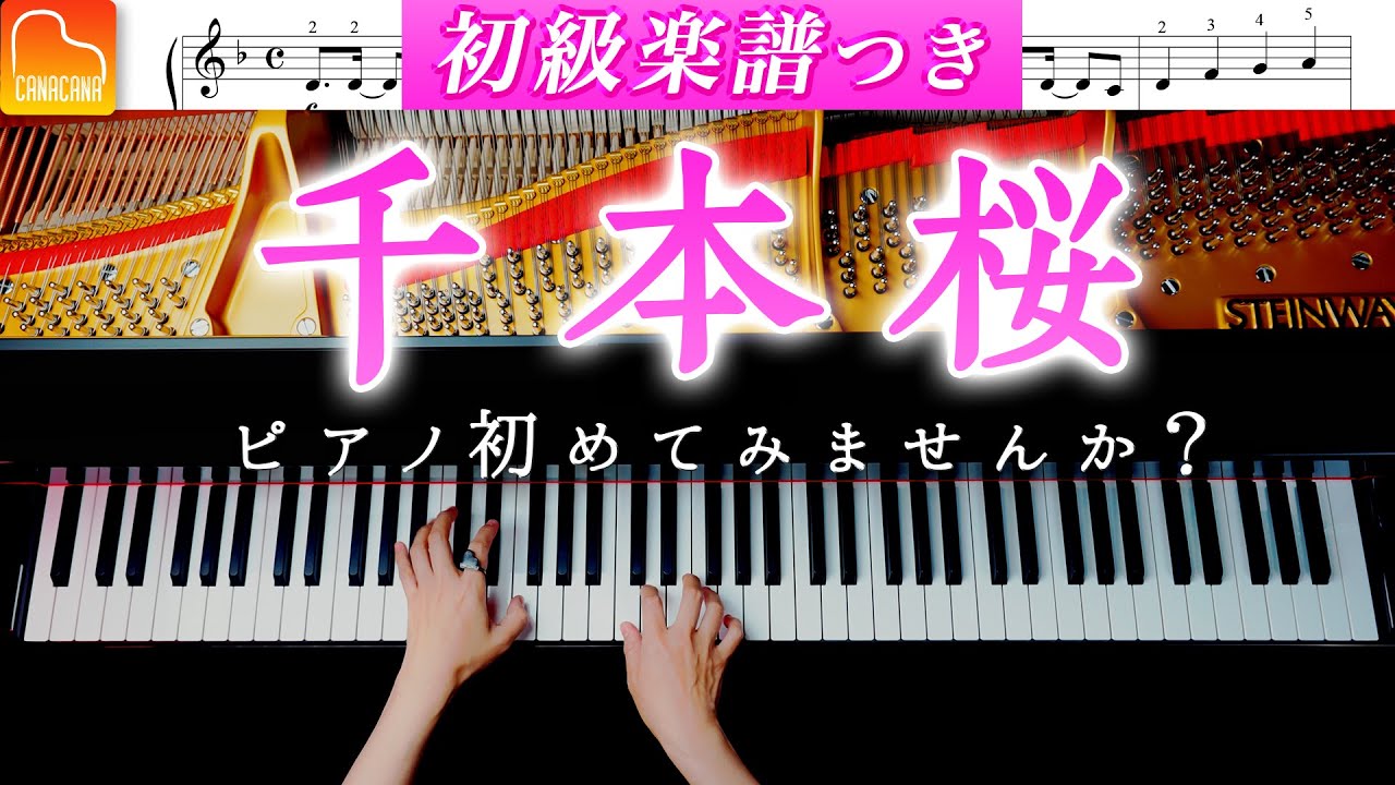 千本桜《初級楽譜つき》簡単ピアノカバー – 黒うさP – CANACANA