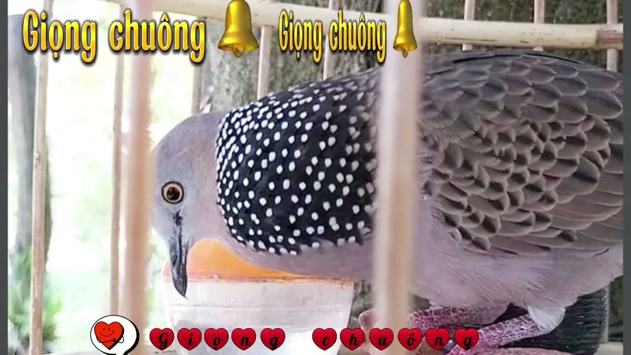 ぽかぽか 2023年10月16日 【豪華!秋の生トークSP!橋本環奈&沢村一樹/大ブレイク!あのちゃん】LIVE HD