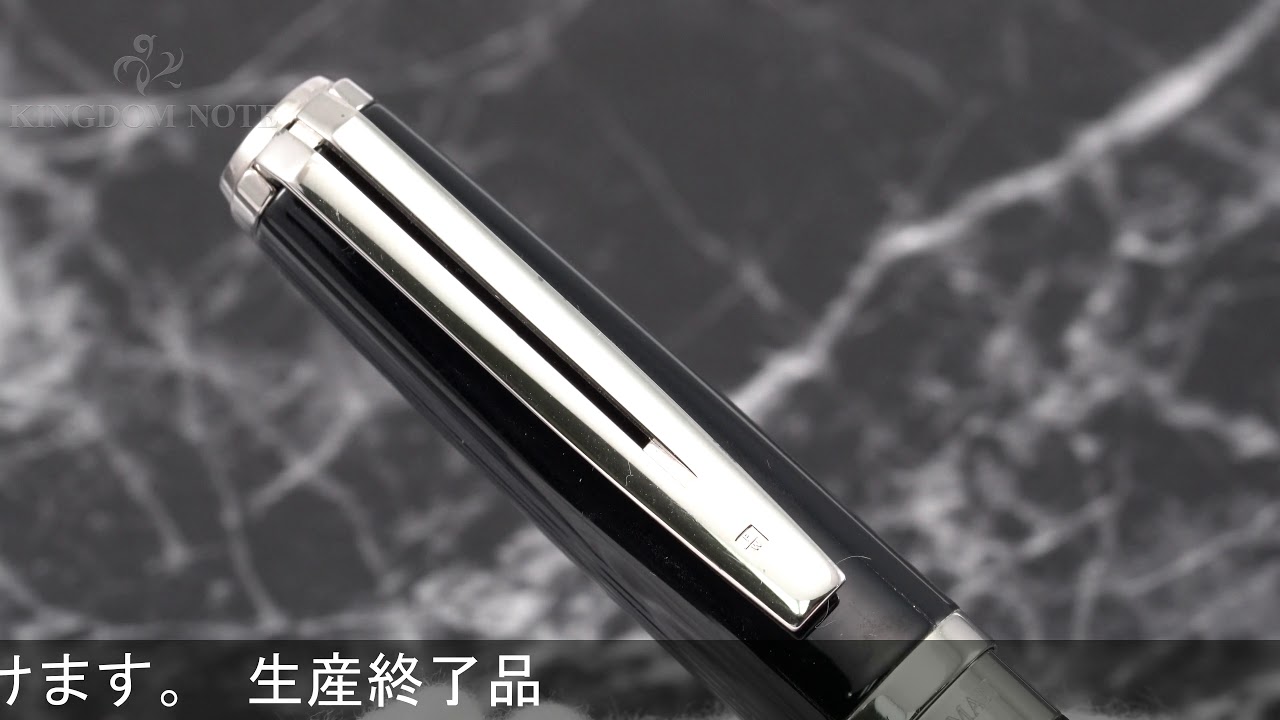 WATERMAN ウォーターマン 万年筆 エクセプション ナイト&デイ ブラックST EF