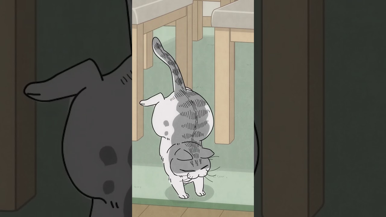 ネコの動画うまく撮れない