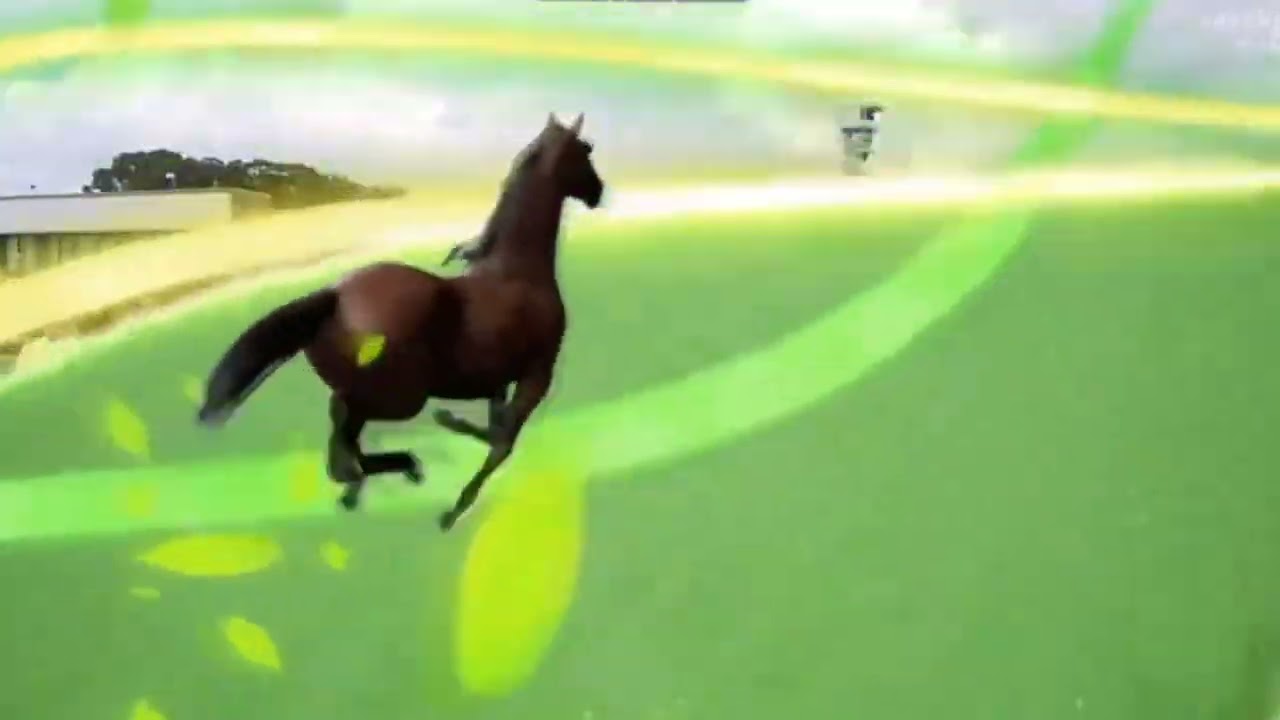 中山競馬場に盛岡競馬場のGIファンファーレが高々と鳴り響く