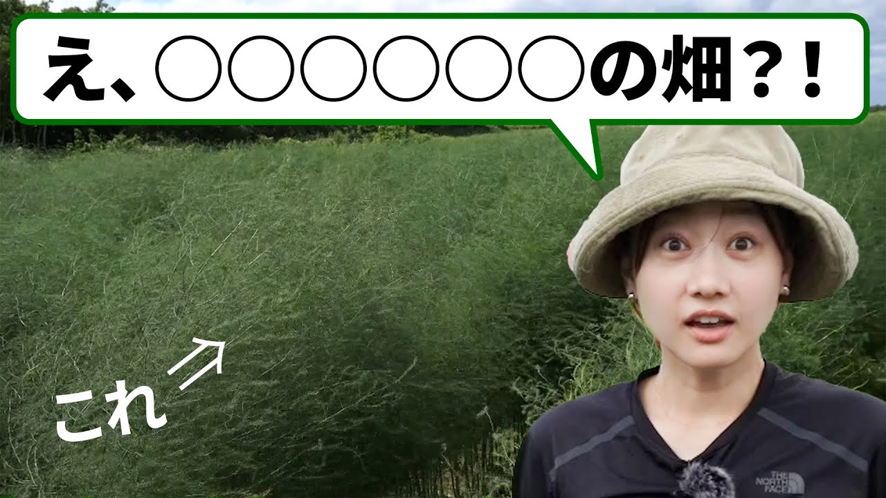 え、〇〇〇〇〇〇の畑⁈/高田秋の農業プロジェクト