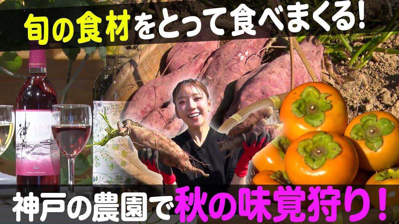 【味覚狩り】秋を実感♪神戸市内で味覚狩り体験!【ナジャ・グランディーバのチマタのハテナ】