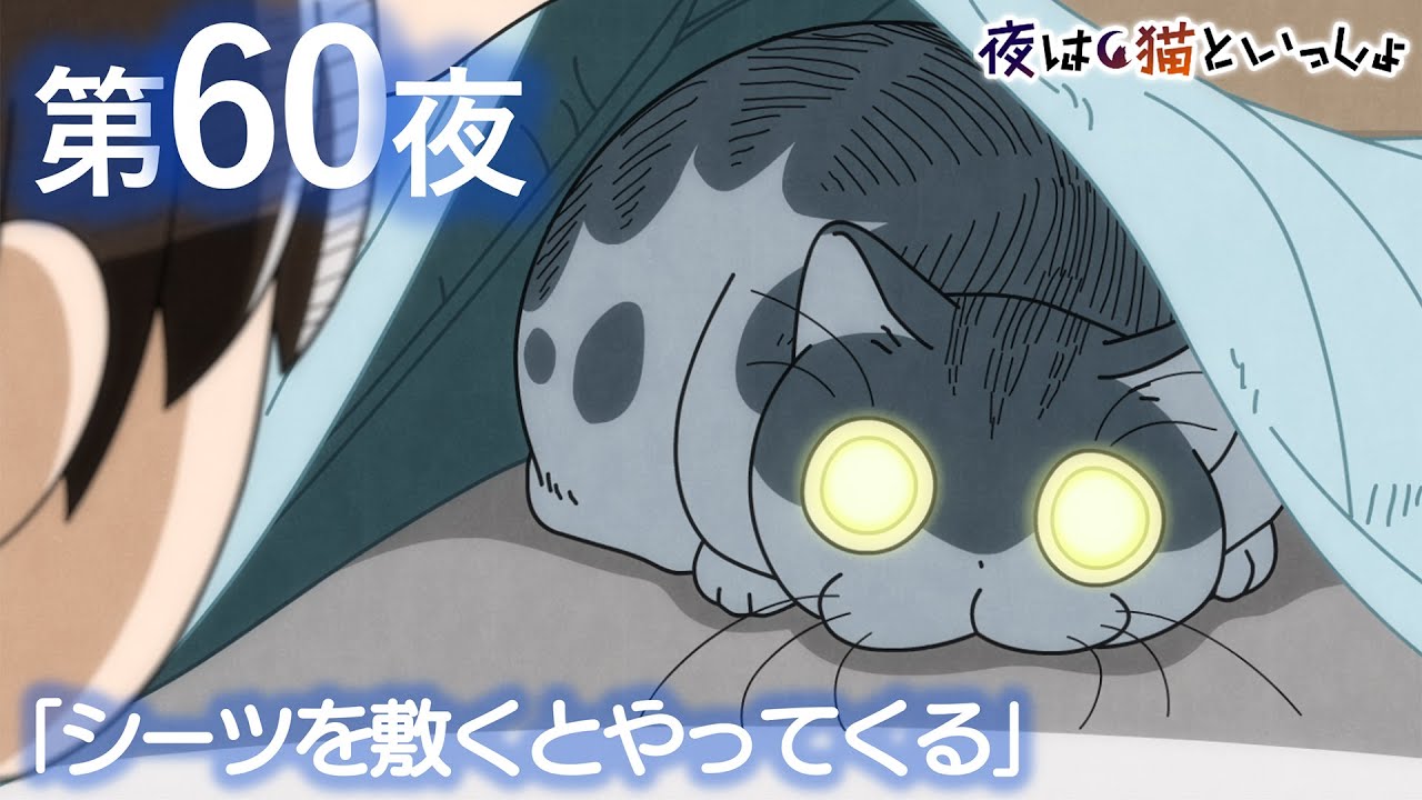 アニメ『夜は猫といっしょ』第60夜「シーツを敷くとやってくる」