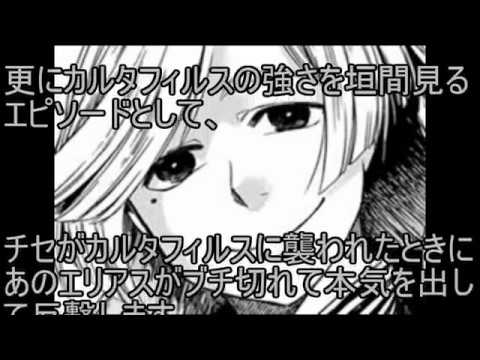 【オタクしか知らない!】ネタバレ!【魔法使いの嫁】カルタフィルスの名に隠された真実とは?