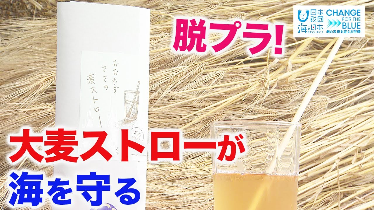 大麦ストローが海を守る!脱プラスチックの救世主へ! 日本財団 海と日本PROJECT in ふくい 2021 #21
