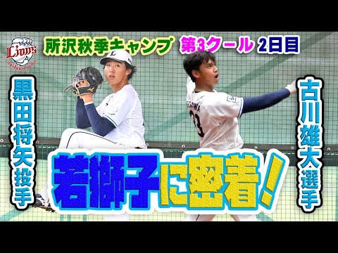 キャンプ半分終了!若獅子、黒田投手&古川選手に迫る!【所沢秋季キャンプ11/10ダイジェスト】