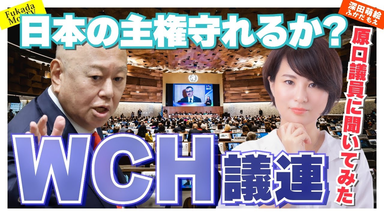 原口一博議員に、Wch議連のことを聞いてみた。吉野敏明先生も登場!!(後編)