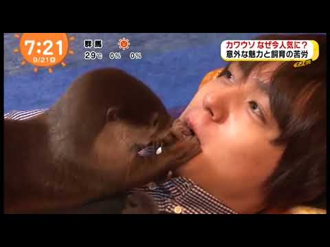 10秒で伊野尾担をだめにする Hey! Say! JUMP 伊野尾慧