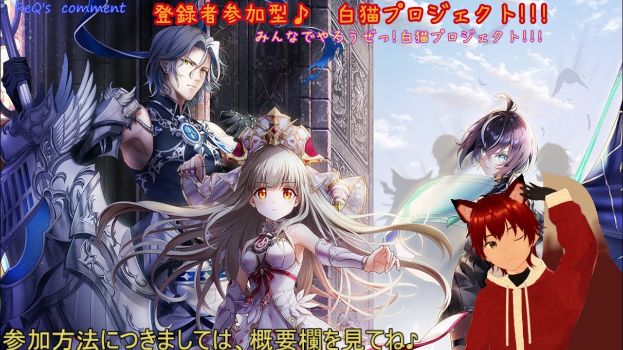 参加型 白猫プロジェクト195日目 おひさしふりの協力バトル みんなで遊ぼー♪