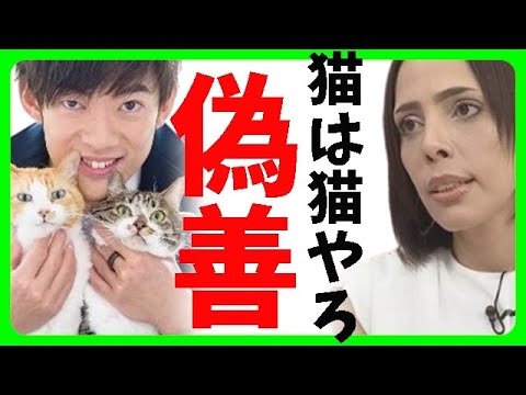 【JAL機炎上】マスゴミがJALの完璧な避難誘導の揚げ足とる為画策⇒須藤元気、石田ゆり子、明日花キララ、梅宮アンナ等が賛同、一方、フィフィ、あおちゃんぺ等冷静に反対⇒署名は2日で1.6万人超え