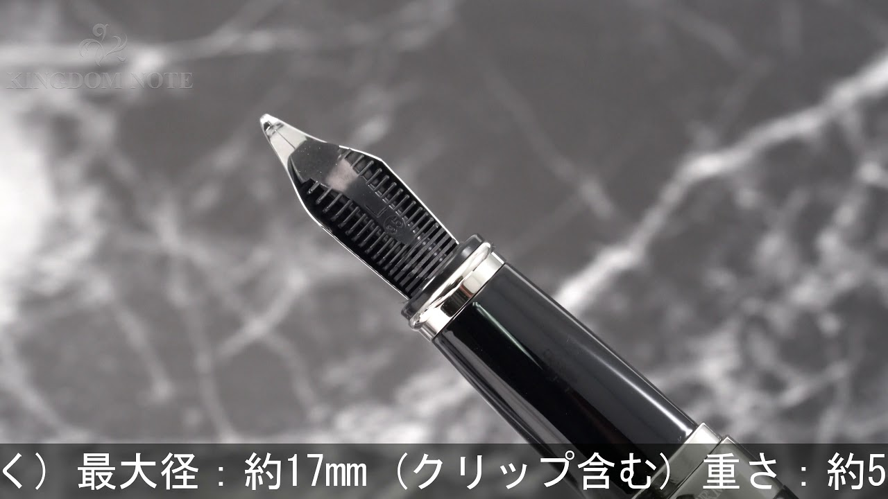 WATERMAN ウォーターマン 万年筆 エクセプション ナイト&デイ ブラックST L