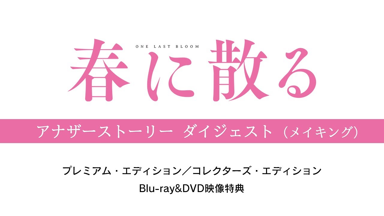 映画『春に散る』3/6発売 Blu-ray&DVD映像特典<メイキングダイジェスト>