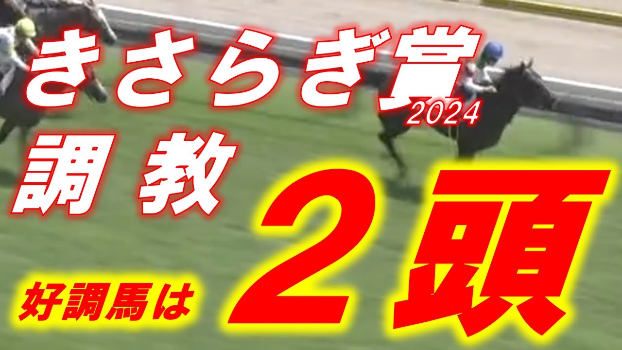 きさらぎ賞2024 追い切り診断 ビザンチンドリーム、ファーヴェント、ウォーターリヒト等!! 元馬術選手のコラム by アラシ