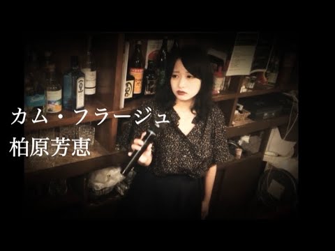 カム・フラージュ 柏原芳恵 中島みゆき