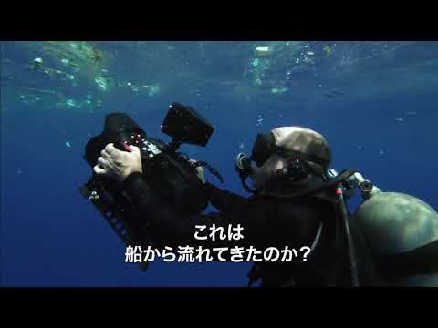 プラスチックの海(原題 A PLASTIC OCEAN ) – 映画予告編