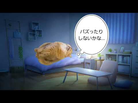 グラビアデビューしたら月給9万円だった話 #猫ミーム