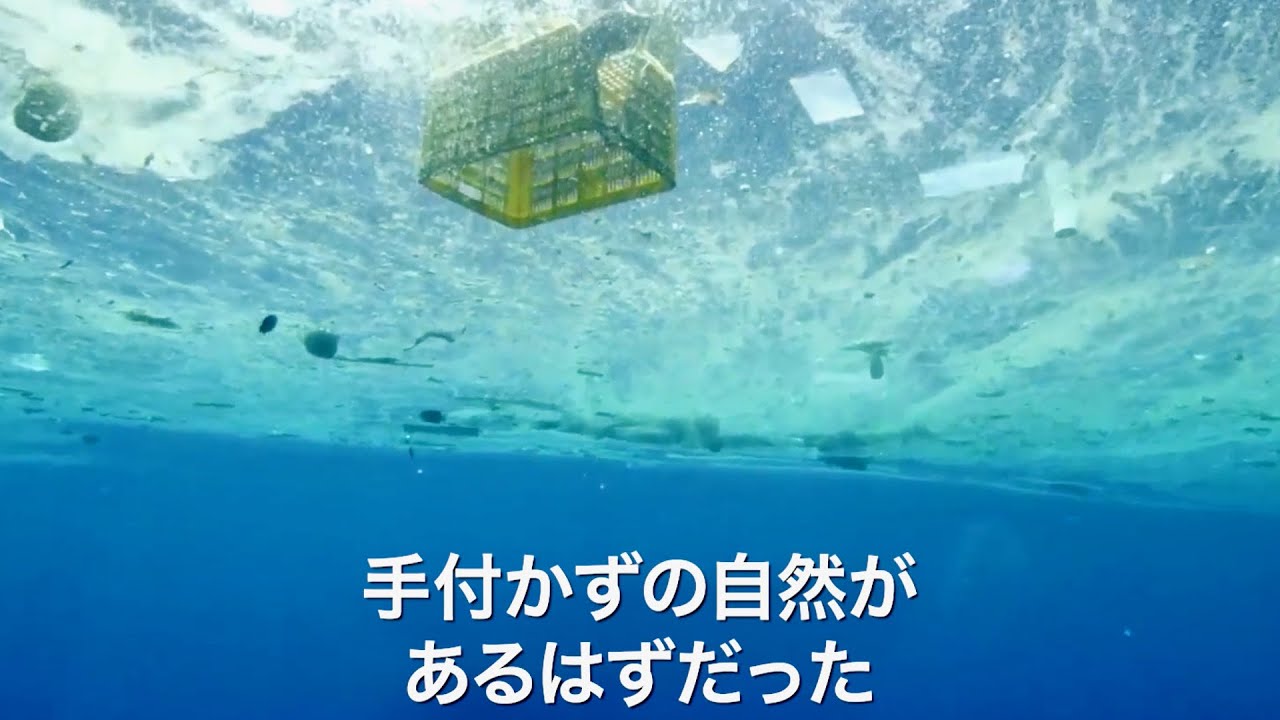 年間800万トンものプラスチックが海に捨てられている/映画『プラスチックの海』予告編