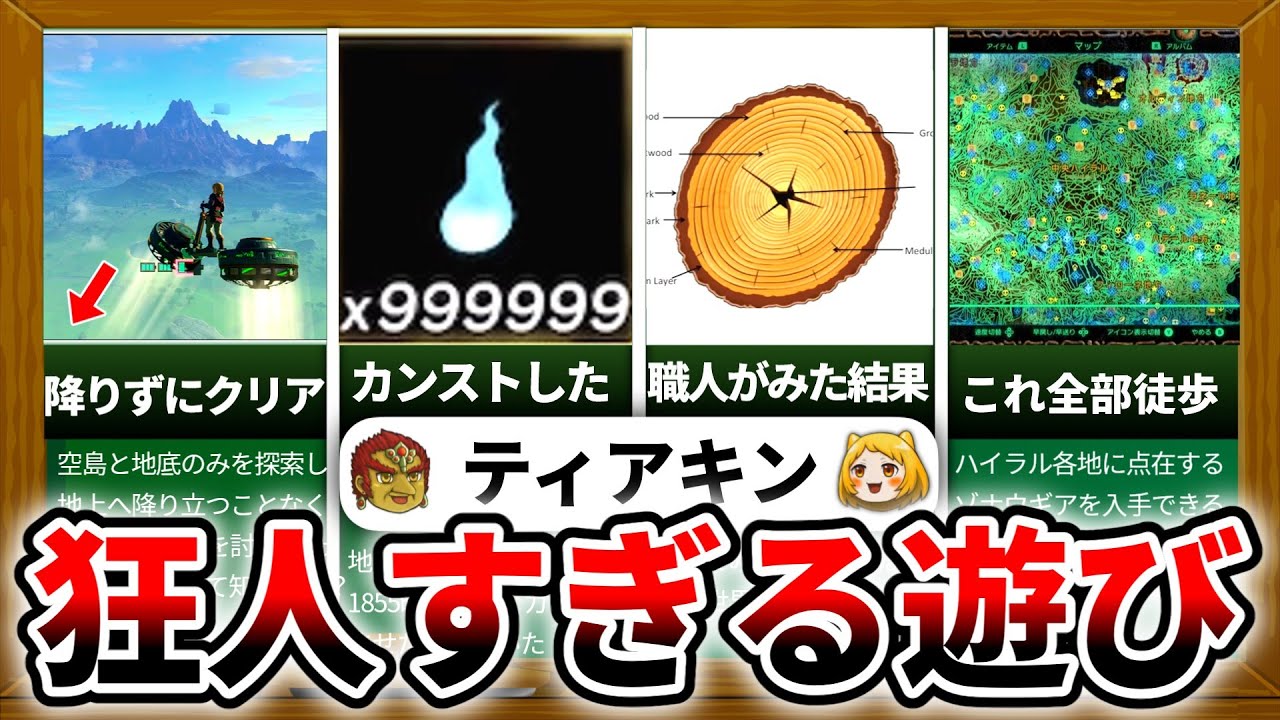 【ティアキン】なにこの遊び方www