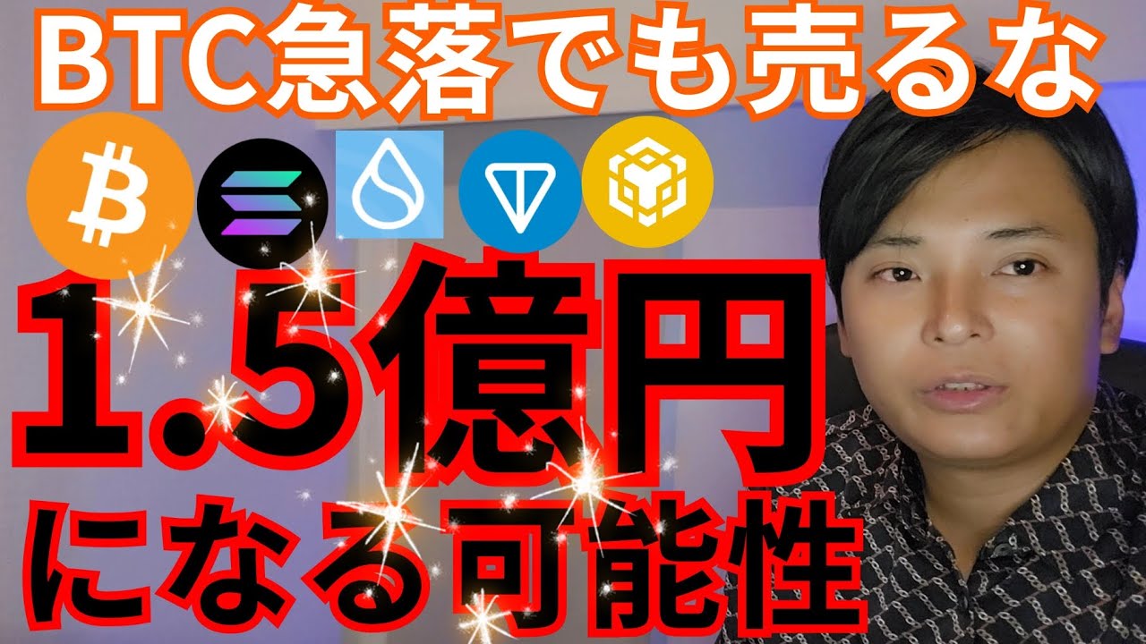 【ビットコイン急落でも売るな】1BTC=1.5億円になる可能性。仮想通貨 アルトコイン