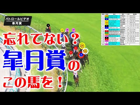 皐月賞2024をパトロールビデオで振り返ったら、日本ダービー2024が見えてきた!