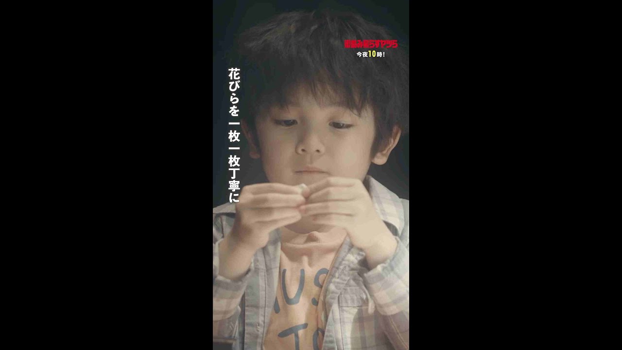 【先行公開】正義が可愛すぎる🌹 #街並み照らすヤツら #第3話 #森本慎太郎 #森川葵 #吉川愛 #shorts