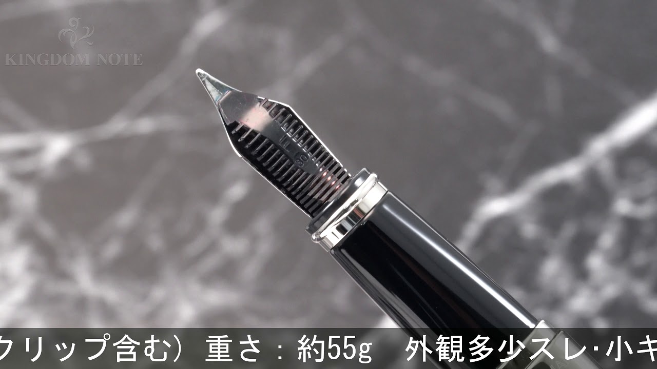 WATERMAN ウォーターマン 万年筆 エクセプション ナイト&デイ プラチナST F
