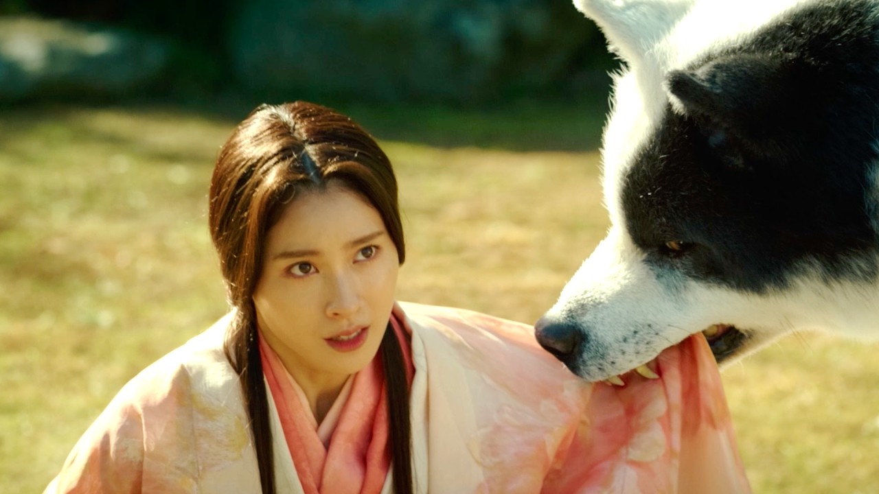 【八犬伝】伏姫に土屋太鳳、八剣士に渡邊圭祐、鈴木仁、板垣李光人、水上恒司、松岡広大、佳久創、藤岡真威人、上杉柊平、キーパーソンに河合優実/映画『八犬伝』予告編