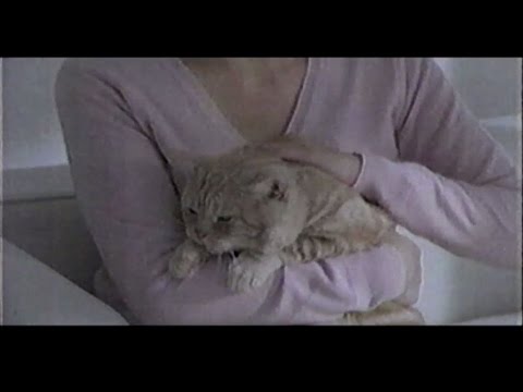 2008年頃のCM シャープ 省エネ家電 吉岡秀隆 SHARP