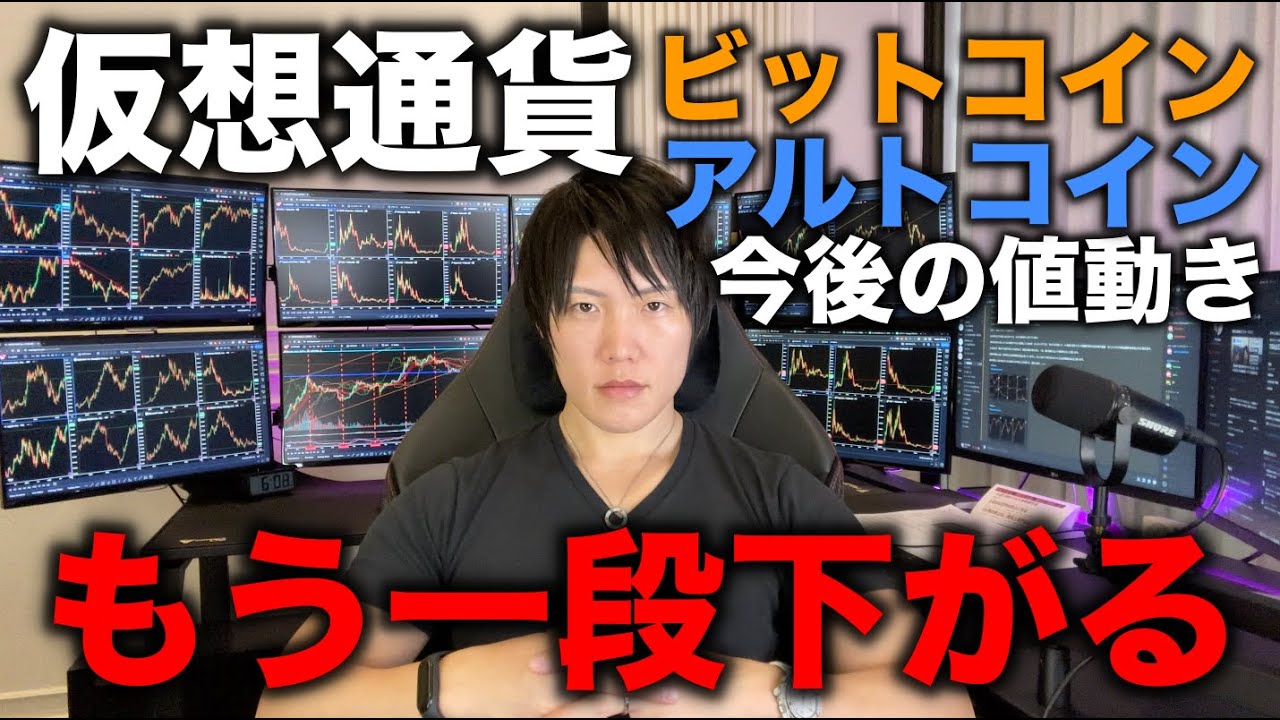 【さらに暴落予想】ビットコインはもう一段下がります。BTCとアルトの今後の値動きについて。
