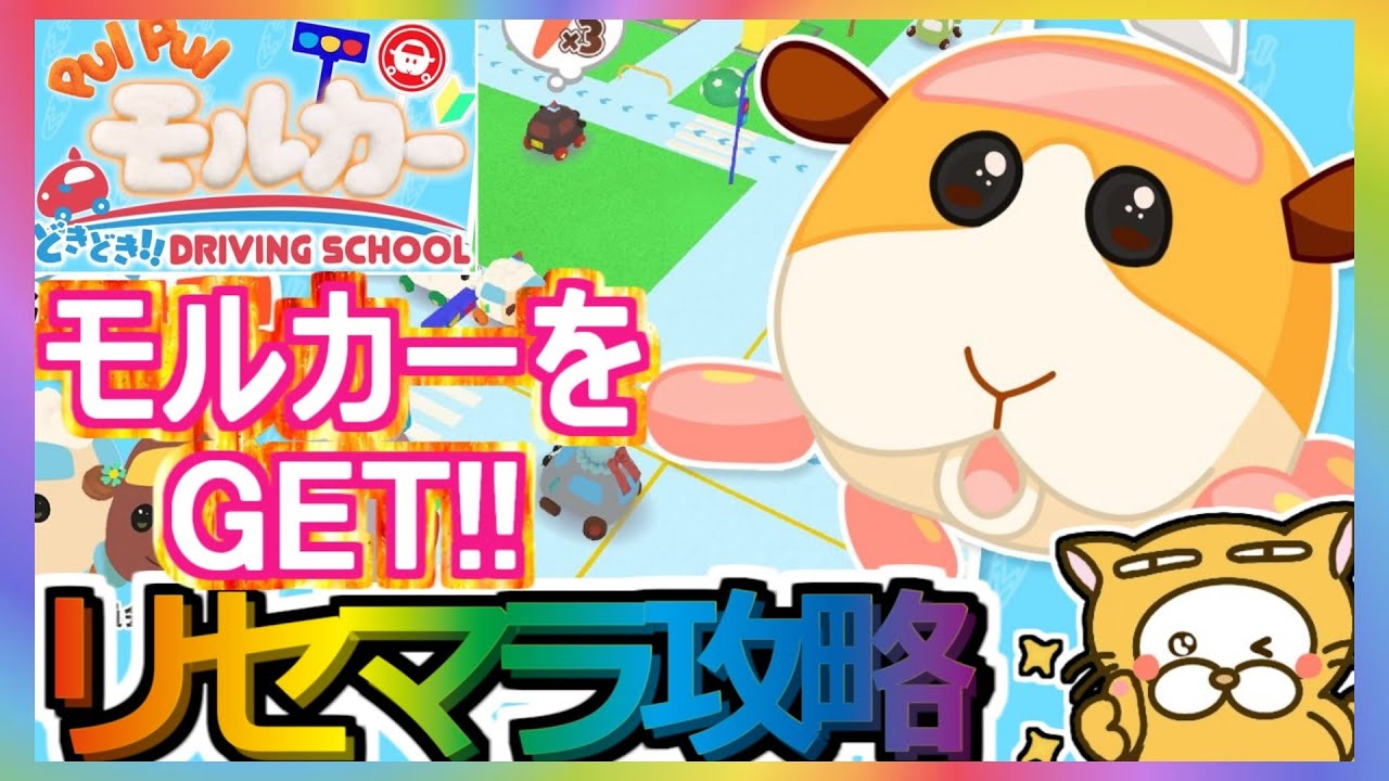 【PUIPUIモルカー】リセマラ攻略 GETすべき最強モルカー【PUI PUI モルカー どきどき ドライビングスクール】