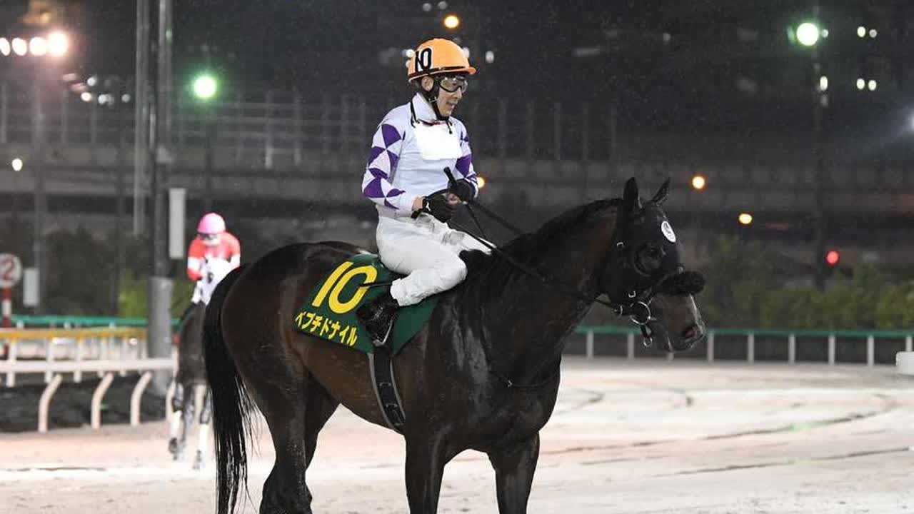【3歳以上次走報】ステラヴェローチェは天皇賞・秋へ|競馬ニュース|競馬予想のウマニティ