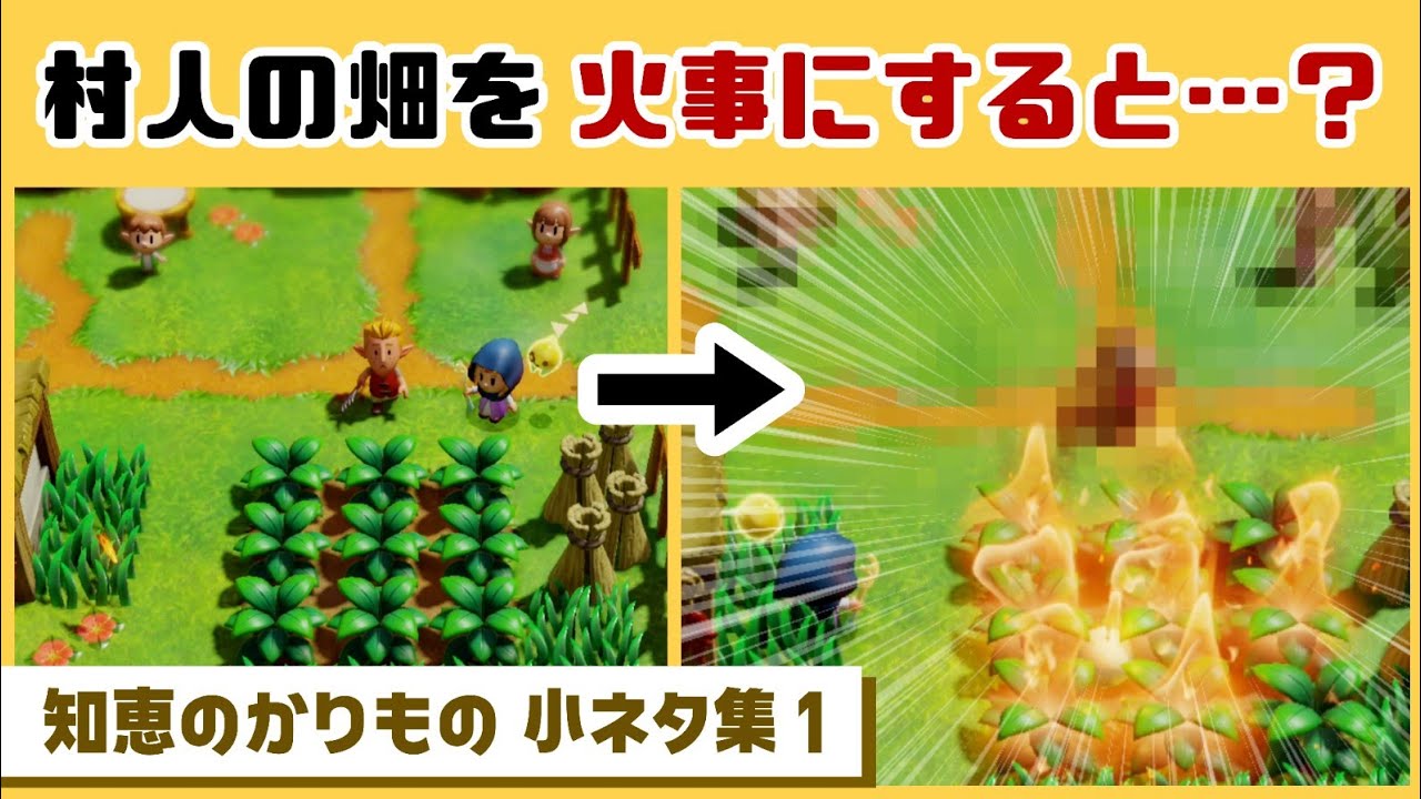【ゼルダ知恵かり】村人の畑を火事にしてしまうと…まさかの反応が…!?ゲームに隠れた細かすぎる小ネタ集【ゼルダの伝説 知恵のかりもの】@レウンGameTV